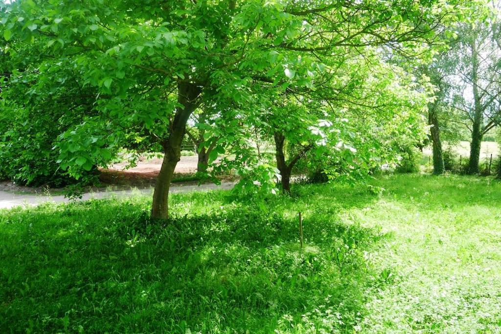 Ferienwohnung Im Gruenen Gottenheim Dış mekan fotoğraf