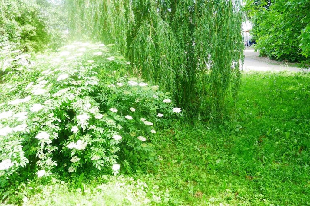 Ferienwohnung Im Gruenen Gottenheim Dış mekan fotoğraf