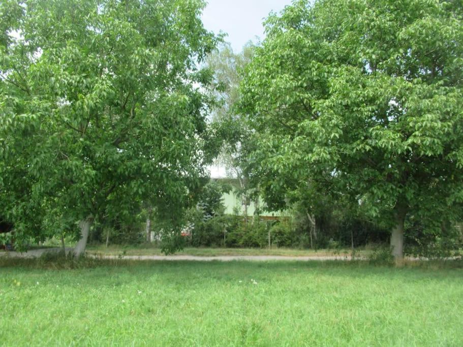 Ferienwohnung Im Gruenen Gottenheim Dış mekan fotoğraf